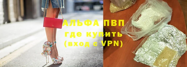 spice Елизово
