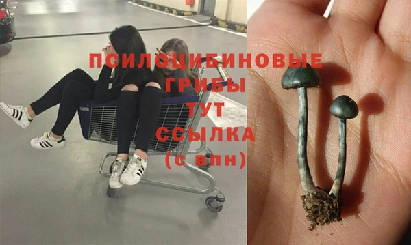spice Елизово