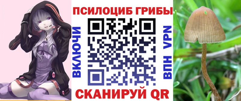 Купить где  Дальнегорск  Псилоцибиновые грибы ЛСД 